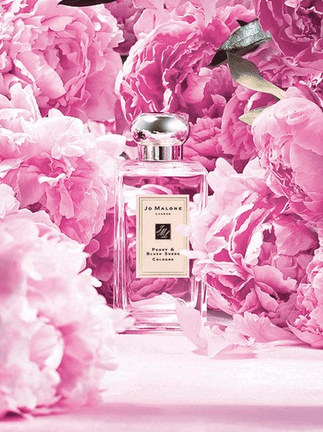 peony and blush suede 牡丹与胭红麂绒英国橡树是最具代表英国而且